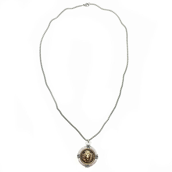 Lion coin in holder necklace