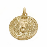 Solid 14K Lion head coin pendant