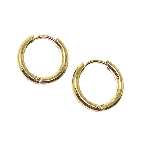 Stainless Steel Hoop Earrings in Gold or Silver in two Sizes
